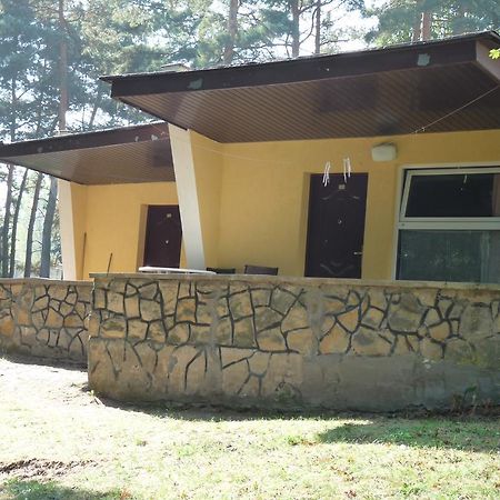 ホテル Osrodek Wypoczynkowy Jelonek ボルシュティン エクステリア 写真